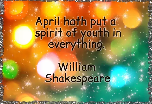 Funny Shakespeare Quotes Funny Shakespeare Quotes