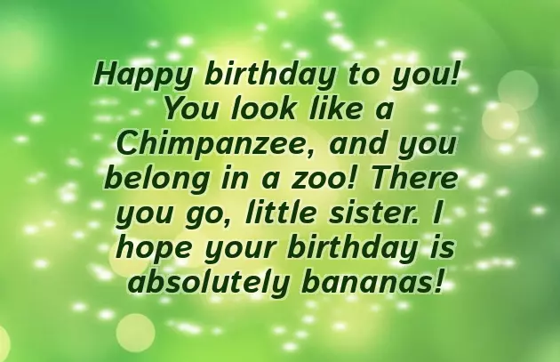 Birthday Funny Wishes For Sister Birthday Funny Wishes For Sister