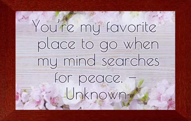 Birthday Quotes From Husband To Wife Birthday Quotes From Husband To Wife