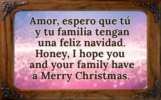 Merry Christmas Feliz Navidad