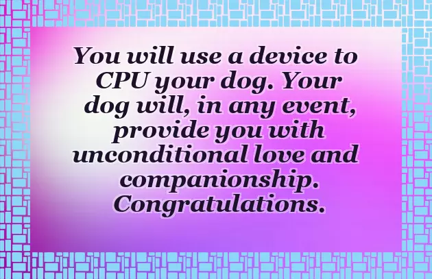 Congratulations On Your New Pet