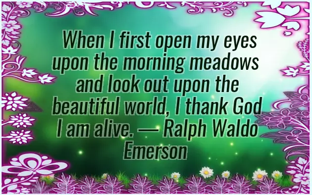 Good Morning Message To Your Love Good Morning Message To Your Love