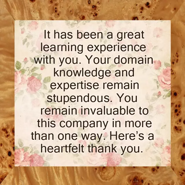 Thank You Message For Promotion Wishes Thank You Message For Promotion Wishes