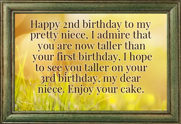 2 Year Niece Birthday Wishes 2 Year Niece Birthday Wishes