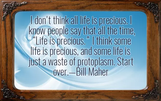 Life Is Precious Quote Life Is Precious Quote