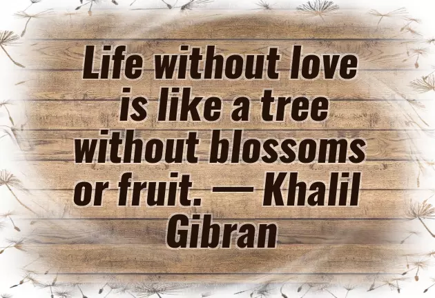 Birthday Quotes From Husband To Wife Birthday Quotes From Husband To Wife