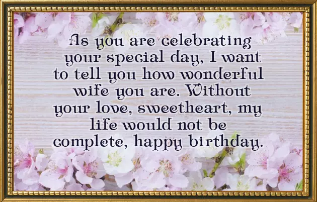 Birthday Status To Wife