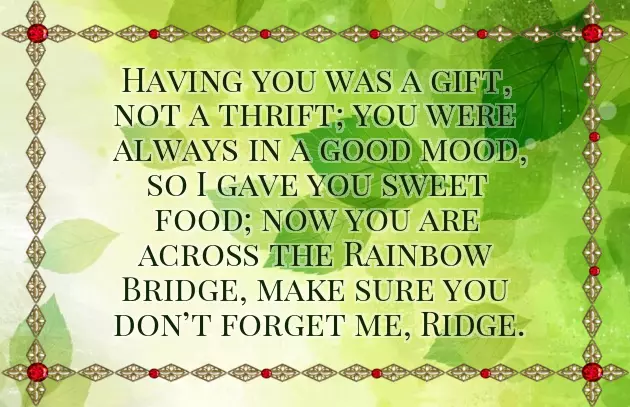 Sympathy Wishes For Loss Sympathy Wishes For Loss