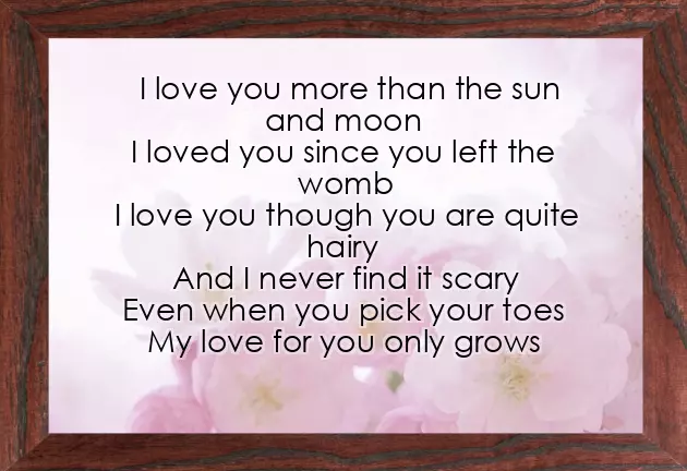 Short Funny Poems For Adults Short Funny Poems For Adults