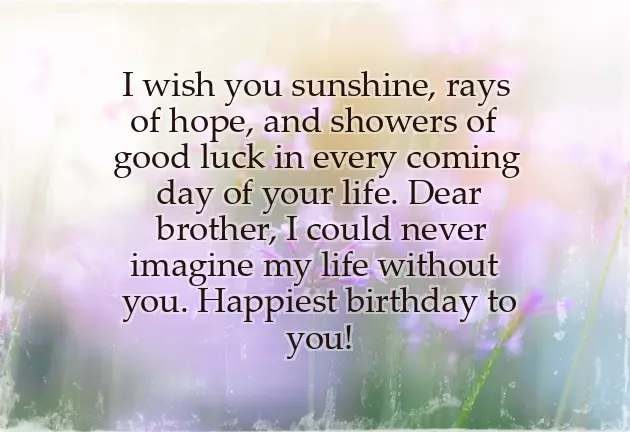 Birthday Wishes Lovely Brother Birthday Wishes Lovely Brother