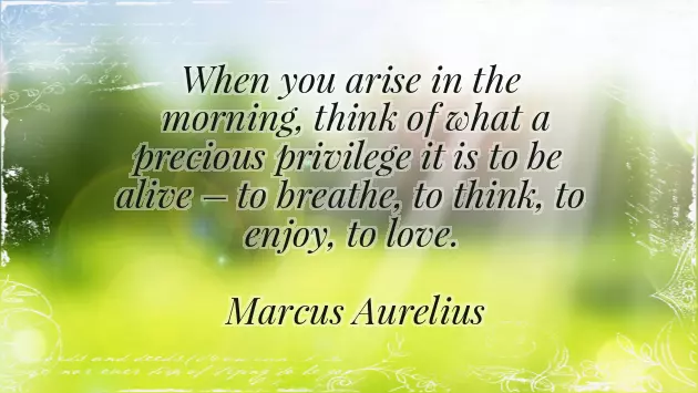 Morning Good Morning