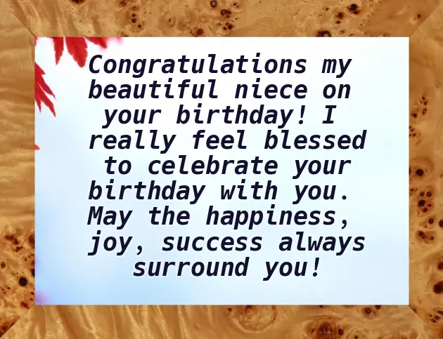 Birthday Wishes To A Little Niece Birthday Wishes To A Little Niece