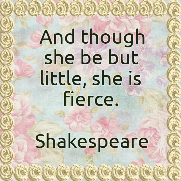 Congrats On Your New Grandson Congrats On Your New Grandson