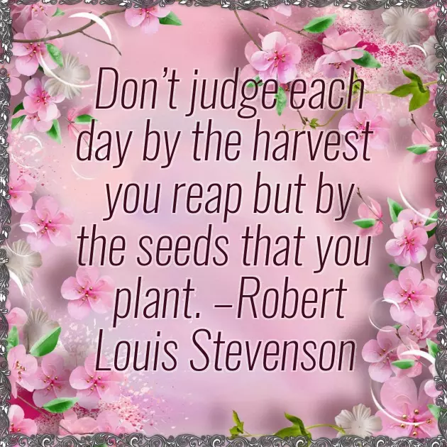 Graduation Message For My Self Graduation Message For My Self