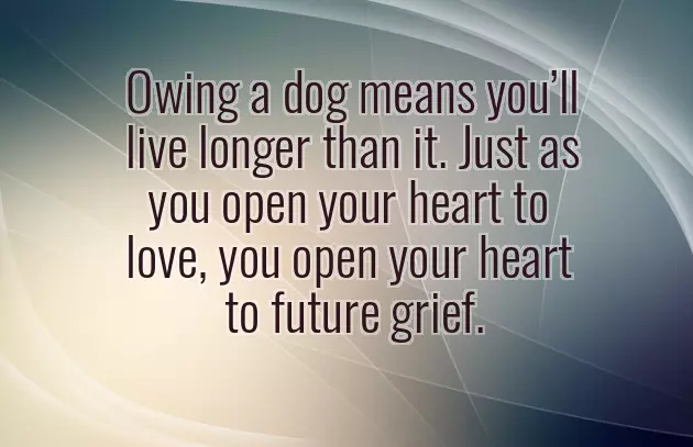 Sympathy Wishes For Loss Sympathy Wishes For Loss