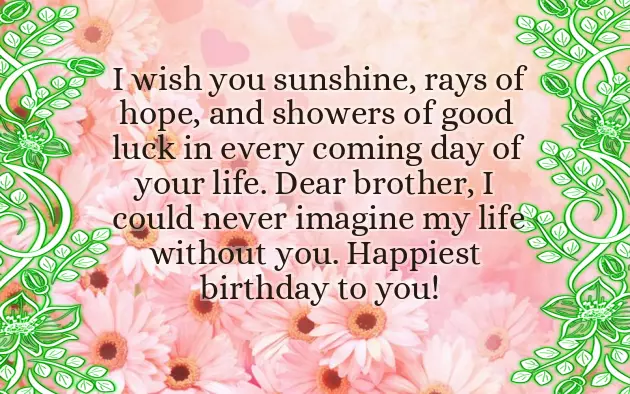 Happy Birthday To My Older Brother