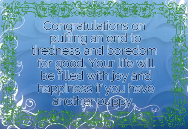 Congratulations On Your New Pet