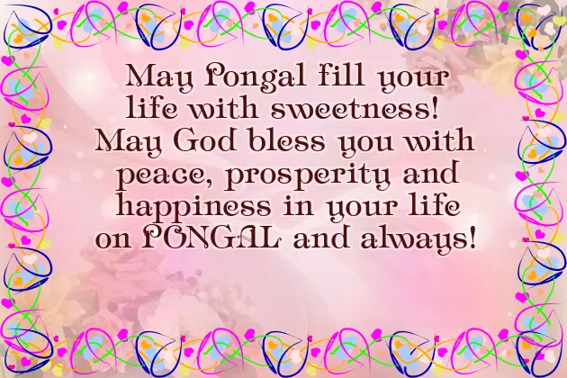 Wishes Of Pongal