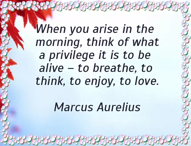 Good Morning Wishes On Tuesday