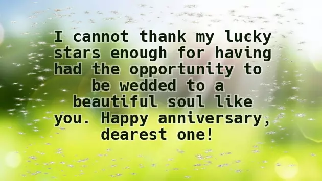 Funny Wedding Anniversary Wishes For Wife