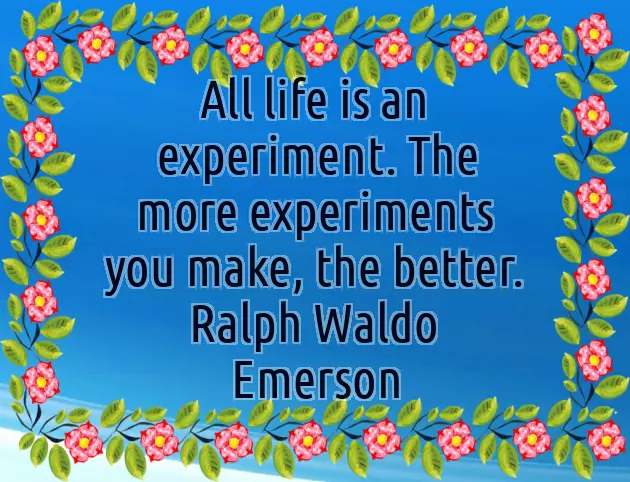 I Wish Him All The Success In His Future I Wish Him All The Success In His Future