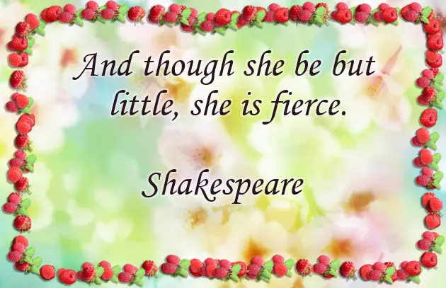 Congratulations On Your New Addition Baby Boy Congratulations On Your New Addition Baby Boy