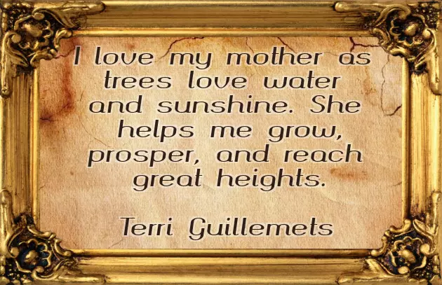 Happy Bday Quotes For Mother