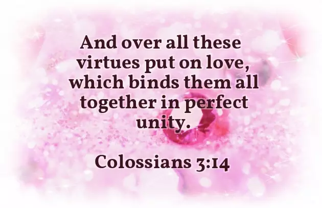 22 Wedding Anniversary Wishes For Parents