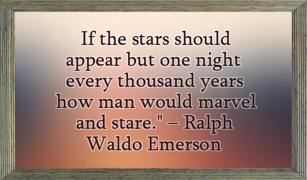 You Are A Star Quotes