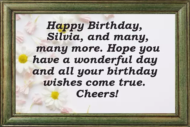 Happy Birthday Silvia Happy Birthday Silvia