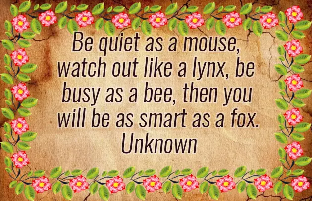 Sarcastic Congratulations Quotes