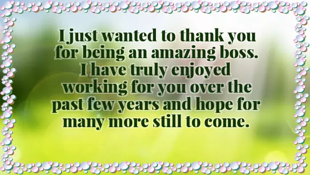 Promotion Congratulations Message To Boss