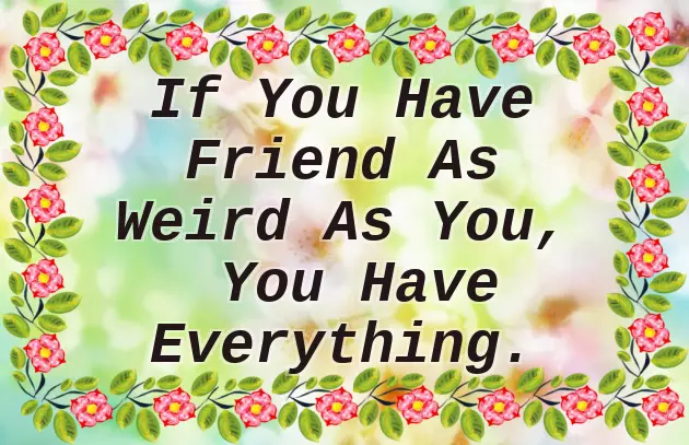 Happy Birthday Crazy Friend Funny Happy Birthday Crazy Friend Funny