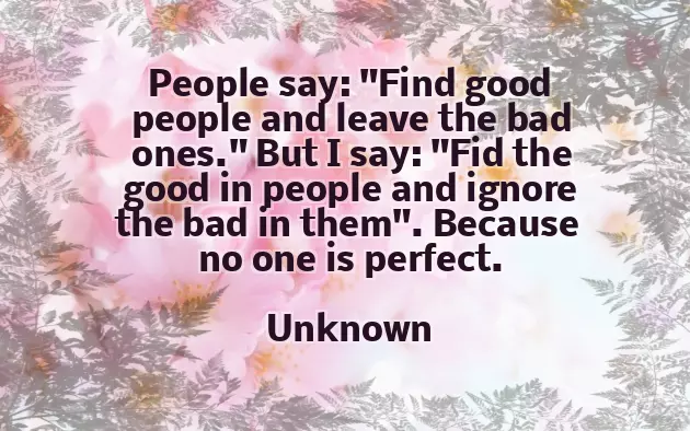 No One Is Perfect Quotes