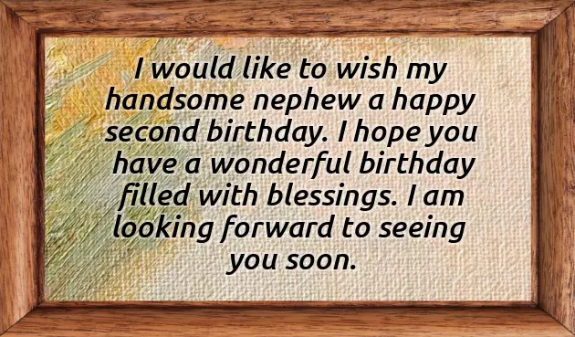 Birthday Wishes For Nephew From Chachi