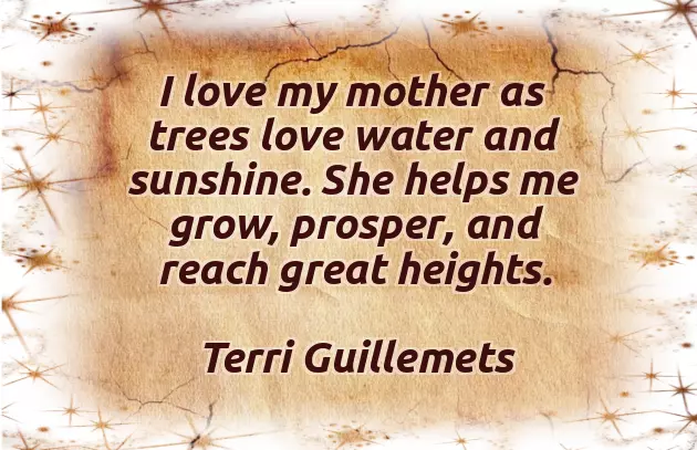 Birthday Inspirational Quotes Birthday Inspirational Quotes