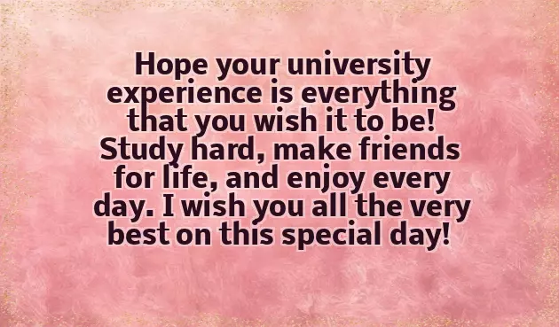 Congratulations On Your New Song