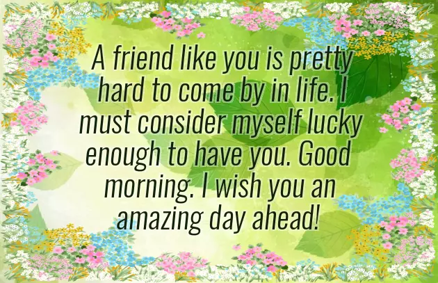 May You Have A Wonderful Day