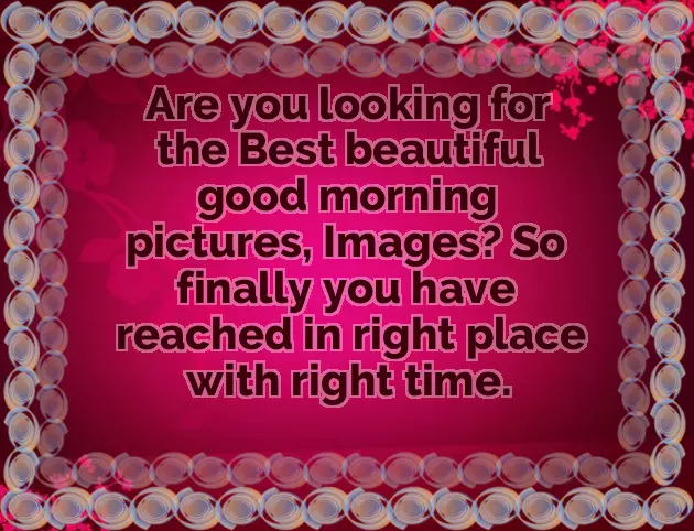 Good Morning Wishes With White Flowers