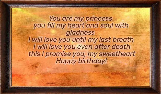 Happy Birthday Wife Funny Quotes