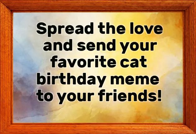 Happy Birthday Cat Happy Birthday Cat