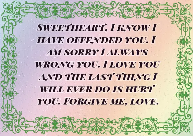 Im Sorry Poems For My Wife