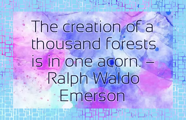 Happy Birthday To A Girl With A Beautiful Smile Happy Birthday To A Girl With A Beautiful Smile