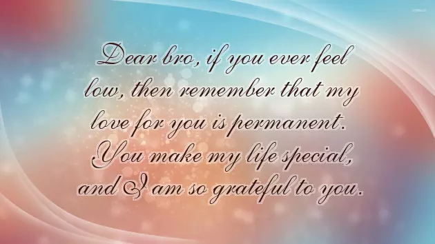 Funny Captions For Brothers Birthday