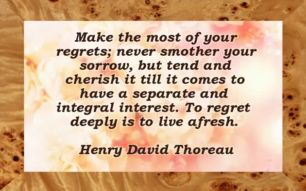 I Regret Quotes