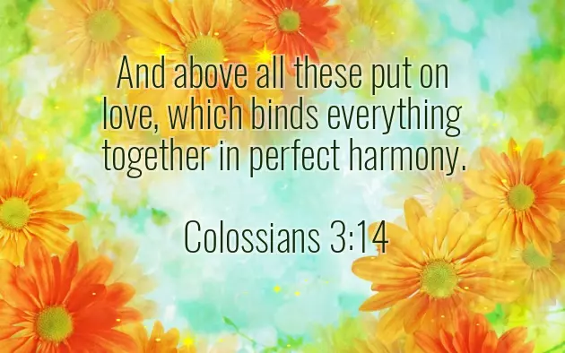 Christian Congratulations On Your Wedding Christian Congratulations On Your Wedding