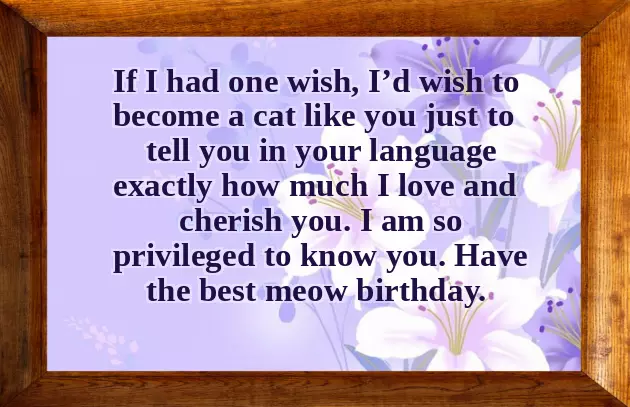 Birthday Wishes For Cats