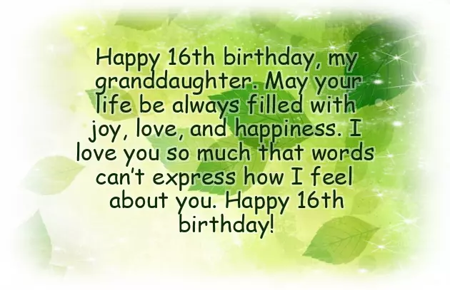 Funny Sweet 16 Birthday Wishes