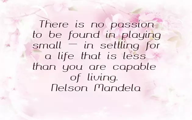 Congratulations On Your Position