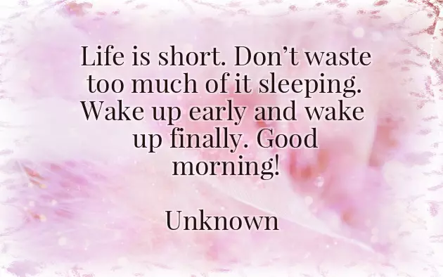 Good Night Good Morning Message Good Night Good Morning Message